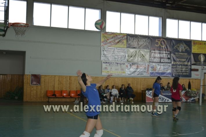 volley_1o-alexandreias-melikis2018 (41)